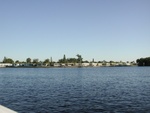 On the very right of this community is the Orange River.  We didn't have to go too far into the river to find manatee.