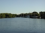 You can't see them because they are just below the water, however, we saw a bunch of manatee.  One of them had been hit by a boat and its back was all cut up from a propeller (sigh).   We think that manatee was about 12 feet long and 3 feet wide, it was huge!