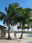 A typical November day at Fort Myers Beach - Jodi poses in between two Palm trees.