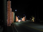 A view down McGregor Blvd with skirt lighting on the big Royal Palm tree.s