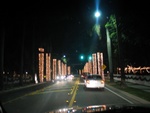 As we drove home, we enjoyed the lights on McGregor at the Edison-Ford Estates.