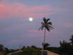 Full moon - Florida style.