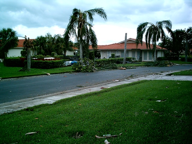 A view of the neighborhood.