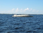 Overturned boat in the river, most likely from the hurricanes...