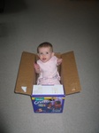 After nap time, Josie decided to site in the diaper box!