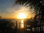 Another view through the palms.