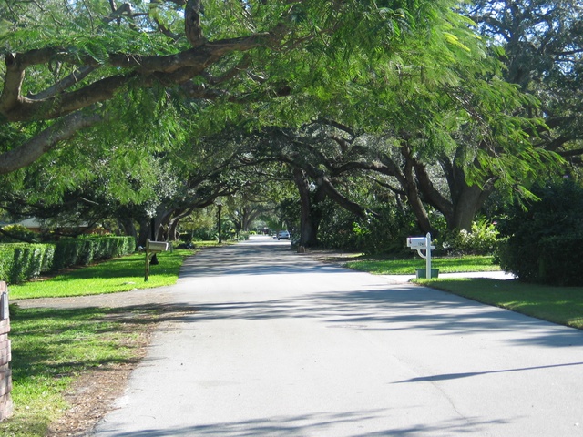 Here's a view to the east on Shadow Lane.  One of the most popular streets in the neighborhood.