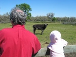 Alan and Paige look over the land, and see some happy cows, horses and a donkey. :)