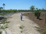 Paige is pointing out the wildlife all around us...