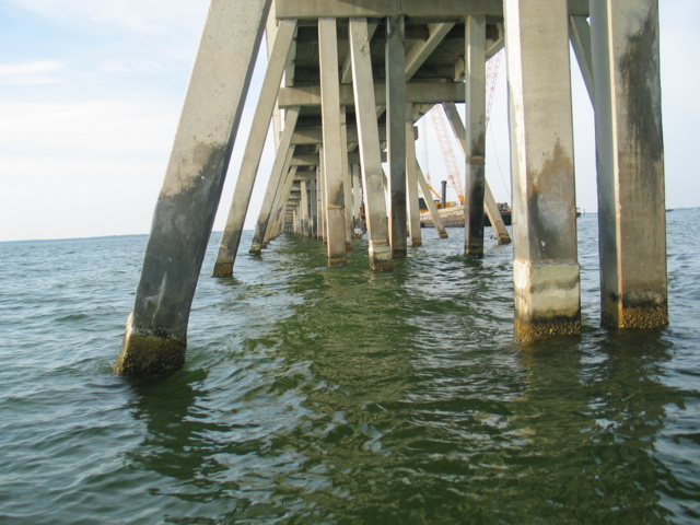 Renee took this cool shot underneath the western most part of the Sanibel Causeway.