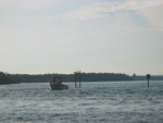 Here's a shot of three pelicans on a 'Minimum Wake' sign in the distance...