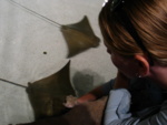 Mel touches the sting ray...