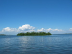 This small island is just north of Cabbage Key - you can use this as your windows background if you'd like! ;)