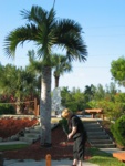 Gramma putts by the big Palm Tree. :)  Remembering that in Michigan right now its 40' and rainy.