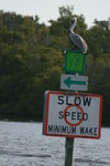 Mr. Pelican decides to guide us...