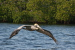 ...back out to the Caloosahatchee!