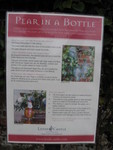 In the Gardens, they grow Pears in a bottle, here's the directions, and...