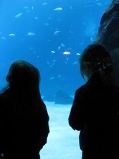 Josie & Paige enjoy the first exhibit...