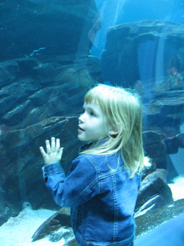 Josie can't believe she's UNDER the fish!