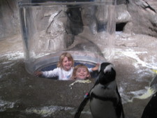 Paige & Josie pop their head up in the Penguin pen!