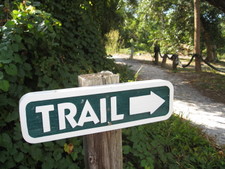 After a delicious lunch (Cheeseburgers in Paradise, with a little Key Lime Pie!), we decided to take a walk on the trail!