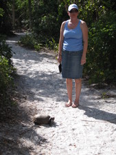 Sure enough, we smelled skunk and on our walk we found this!  Fortunately, we didn't get bit by any skeeters!