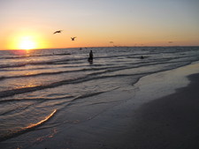 Ah, none for me, I'm enjoying watching the pelicans grab some dinner, while...