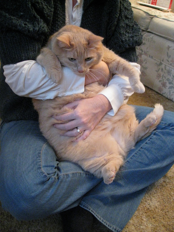 This gives you an idea how big double-kitty is!