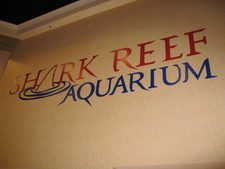 In Mandalay Bay they have a Shark Reef Aquarium exhibit.  It was very cool...