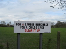 In Melbourn, not quite sure if it really causes blindness, but for a childs sake - clear it up!