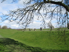 More Avebury stones.