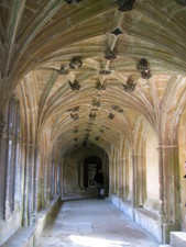 A view of the cloisters...