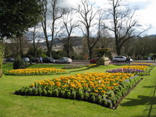 Some of the flower gardens in the area.