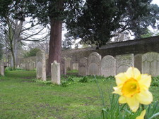 The cemetery out back...