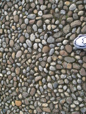 The stonework in the ground around the sidewalks.