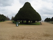 Here's some of the gardens.  