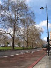 Here's a view of Hyde Park on the left with a view of Park Ln.