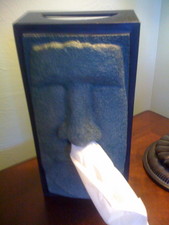 This was an interesting way to dispense tissues!