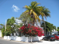 Another view of the Duval Inn -- we spent a lot of time on the porch, chilling, and letting Keys disease settle in.