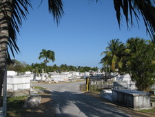 It was pretty beat up for being 150 years old (we just returned from England, and the cemeteries there were very well kept and hundreds of years old!)