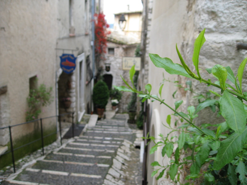 The narrow passage ways in the medieval village of St. Paul, France.

June 6, 2008