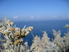 Two beautiful views from the cliffs...