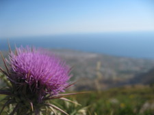 ...viewing the Mediterranean...