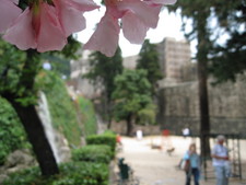 A small park in Dubrovnik, near the medieval entrance.