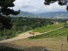 Here's another view of the mountains of Tuscany for you.  