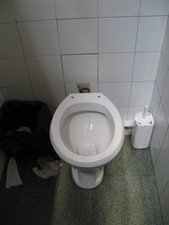 For whatever reason, all of the toilets we visited in Italy had no toilet seats...   It's fairly common, apparently.