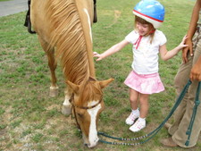 Josie talked to Sonny and told him Thank You for being such a good horse!