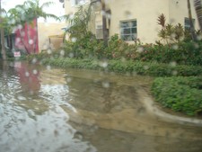 Hey Andrea & Miriam!  Welcome to the Sunshine State!   They had never experienced a Florida summer thunderstorm/rainstorm before!