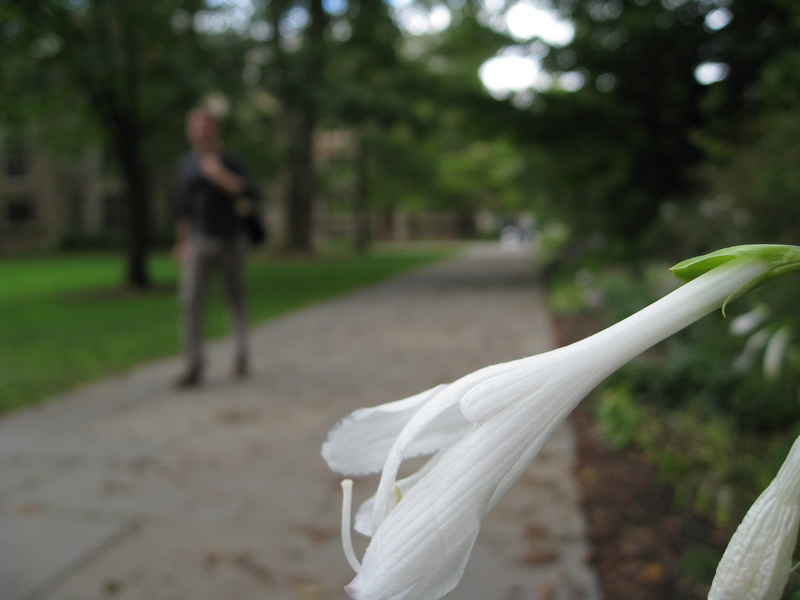 A view in the Law Quad.