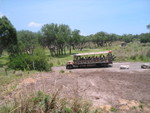 Our first ride was the Kilimanjaro Safari!  It was cool!